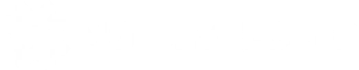 MG Developer