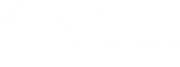 MTDG